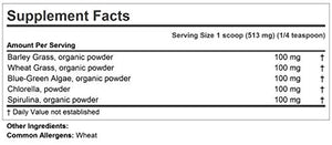 Andrew Lessman Green Foods Complex 600 Servings – Supplies Building Blocks for Healthy Tissue Growth and Liver Support. 100 mg Each of Barley Grass, Wheat Grass, Blue Green Algae, Chlorella, Spirulina