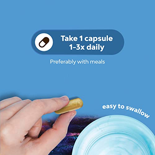 Pure MSM Supplement Capsules  Joint Support for Increased Flexibility and Pain Relief with Anti Wrinkle, Anti Aging Collagen Boosting Pills and Antioxidant Supplement For Men and Women