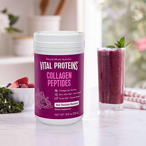 Vital Proteins Collagen Peptides, 10.8 oz, Dark Chocolate & Blackberry