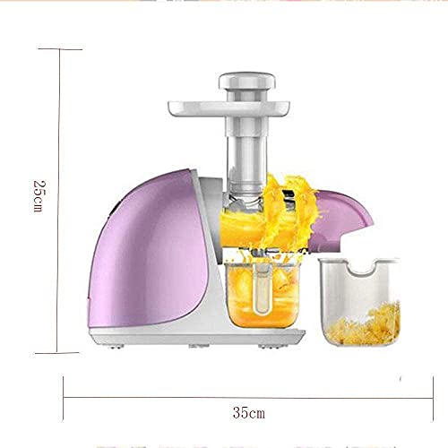 XBYUNDING Juicer Machines,Juicer Masticating Juicer,Large Caliber Juice Machine,Squeezed Sugar Cane Machine,Pomegranate Slag Juice,Fully Automatic Fried Juice Machine