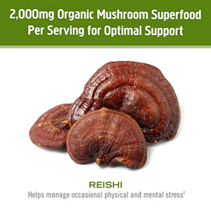 Om Mushroom Superfood Reishi Organic Mushroom Powder, 7.05 Ounce Pouch, 100 Servings, Adaptogen, Stress & Immune Support, Superfood Mushroom Supplement