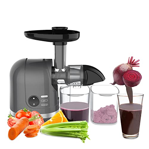Slow Masticating Juicer Easy to Clean, Cold Press juicer Extractor with 95% Juice Yield, Quiet Motor, Reverse Function Anti-Clogging, 7 Segment Spiral for Vegetable and Fruit