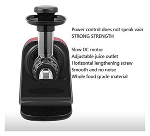 Juicer Machines Juicer Juicer, Slow Masticating Juicer Juicer Whole Fruit Vegetable Extractor Anti-Oxidation,Juicer Machines Vegetable and Fruit,Non-Slip Pad at The Bottom, All-Round Heat Dissipa