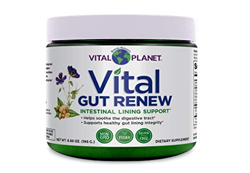 Vital Planet - Vital Gut Renew Powder Supplement Formulated with L-glutamine and Organic Aloe Vera for Intestinal Lining Support 6.88 oz
