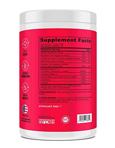 UNDERGROUND BIO LABS™ Panda SUPPS – Recover BCAA + Hydration - 30 Servings, 5G BCAA 2:1:1, 1G L-Tyrosine, Coconut Water Powder, L-Glutamine, Superior Taste and Absorption (Strawberry Watermelon)