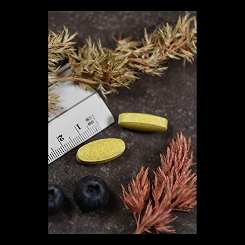 Quercetin 1000mg - 60 Tablets