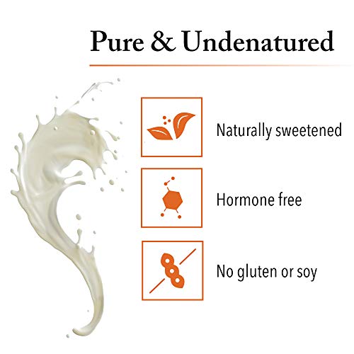 Whey Factors by Natural Factors, Grass Fed Whey Protein Concentrate, Supports Muscle Development and Immune Health, Gluten Free, Unflavored, 12 oz (13 servings)