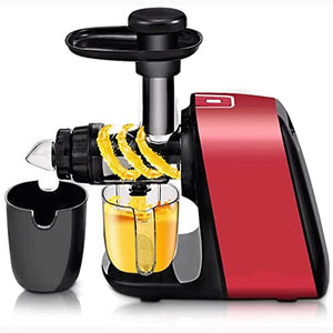 BXZYYL Juicer, Slow Masticating Juicer Extractor with Reverse Function, Cold Press Juicer Machine with Quiet Motor, Juice Jug for Vegetables and Fruits