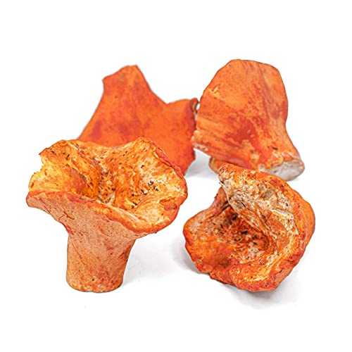 West Coast Wild Foods | Dried Wild Mushrooms (Lobster, 0.5lb)