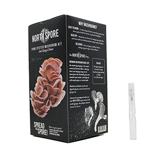 North Spore | Pink Oyster Mushroom Grow Kit | Easy to Use, Harvest Your Own Gourmet Mushrooms at Home | Kit Contains a Sawdust Block Colonized with Vigorous Productive Pink Oyster Mushroom Mycelium