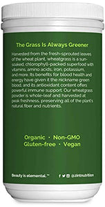 Zint Wheatgrass Powder, Organic (8 oz): Powerful Immune Support Supplement, Whole Leaf Antioxidant Chlorophyll Source for Detox, Immunity Booster