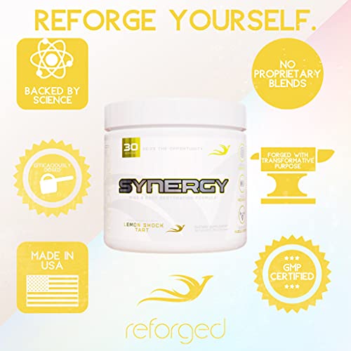 Reforged Synergy | Post-Workout Recovery Formula | Nootropic Muscle Builder Drink Mix w/Creatine, Alpha-GPC, L-Carnitine L-Tartrate, & Ashwagandha | Zero Calorie, Lemon Shock Tart, 30 Servings