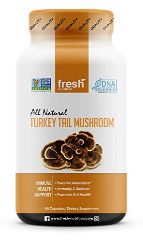 Organic Turkey Tail Mushrooms – Strongest DNA Verified for Potency - Immune System Booster – High in Beta Glucans – Turkey Tail Mushroom Supplements – Non GMO, Vegan Friendly, Gluten Free