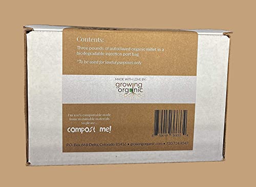 Sterilized Grain Bag with Injection Port - Fast Colonization, Robust Mycelium Growth - Grow Your Own Edible Mushroom at Home - 3(lbs)