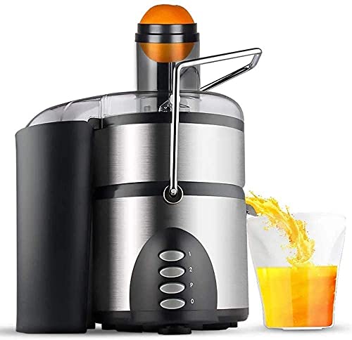 RenminRoad Juicer,Masticating Juicer Machine,Slow Juice Extractor,Cold Press Juicer Machine with Quiet Motor,Easy to Clean,Multifunctional Juicer for High Nutrient Fruit & Vegetable Juice