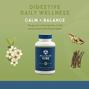 Balanced Vibe Digestive Support for Gas & Bloating - Made with Proprietary Blend of Organic Triphala, Fennel Seed, Licorice Root, Glutamine, Glycine - 90 Caps