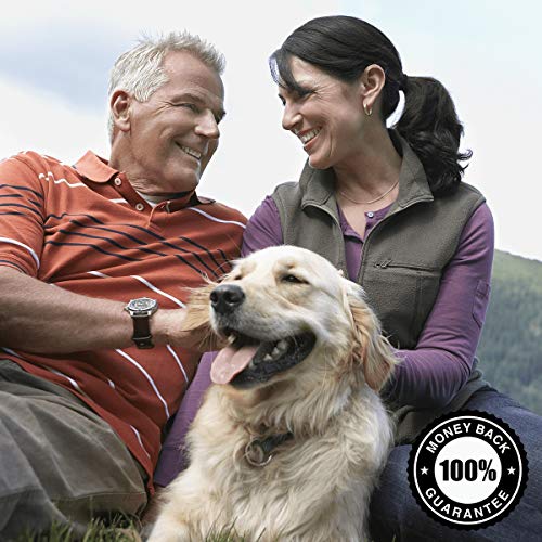 Swanson St. John's Triple Complex 60 Capsules