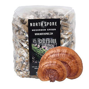 North Spore Reishi Mushroom Plugs, Lucidum Species, 500 Count Premium Quality Mushroom Plug Spawn, Made in USA, Grow Mushrooms on Logs, Gourmet Mushrooms for Tea & Tinctures, Medicinal Mushrooms