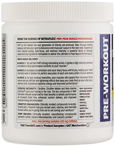 GAT PMP (Peak Muscle Performance), Next Generation Pre Workout Powder for Intense Performance Gains, Raspberry Lemonade, 30 Servings, 9 Ounce