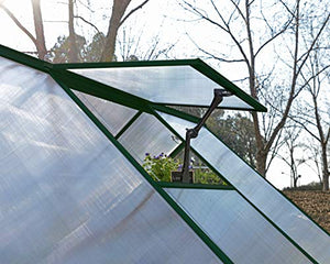 Palram HG5504G Hybrid Hobby Greenhouse, 6' x 4' x 7', Forest Green