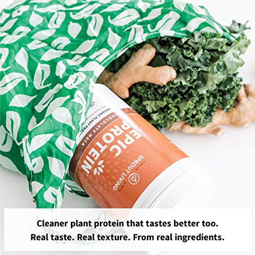 Sprout Living's Epic Protein, Plant Based Protein & Superfoods Powder, Chocolate Maca Powder | 19 Grams Organic Protein Powder, Vegan, Non Dairy, Non-GMO, Gluten Free, Low Sugar (1 Pound, 13 Servings)