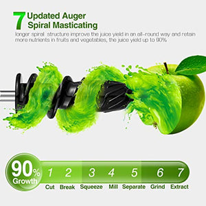 Slow Masticating Juicer, AMZCHEF Slow Juicer Extractor Professional Machine, Cold Press Juicer with Quiet Motor/Reverse Function, Juicer Machines with Brush, for High Nutrient Fruit & Vegetable Juice