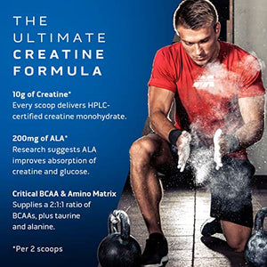 Creatine Monohydrate Powder | MuscleTech Cell-Tech Creatine Powder | Post Workout Recovery Drink | Muscle Builder for Men & Women | Musclebuilding Supplements | Tropical Citrus Punch, 3 lbs (27 Serv)
