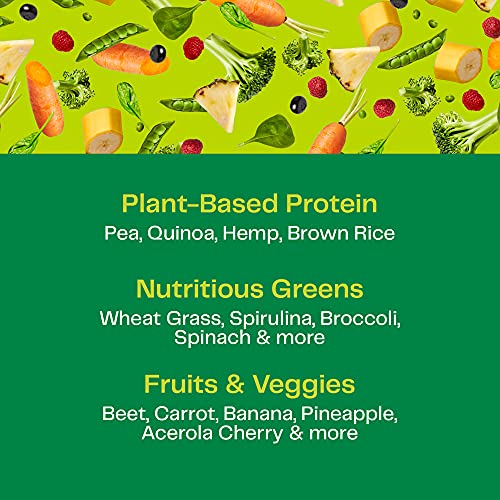 Amazing Grass Organic Plant Protein Blend: Vegan Protein Powder, All-In-One Nutrition Shake, with Beet Root, Original, 12 Servings, 14.8 Ounce (Pack of 1)