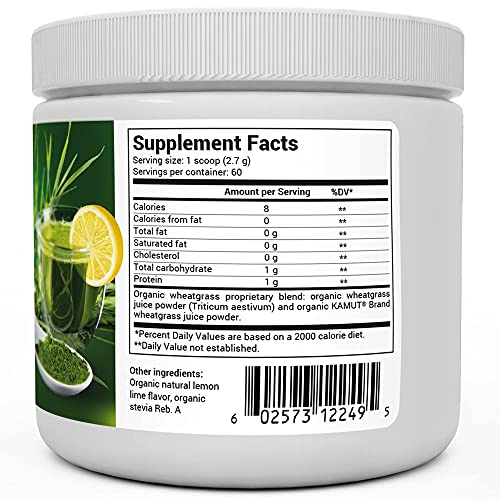 Dr. Berg's Raw Wheatgrass Juice Powder, Lemon Flavor w/ Stevia Sweetener - Green Superfoods Rich in Vitamins Chlorophyll & Trace Minerals - BioActive Dehydration & Ultra-Concentrated Nutrients 1 Pack