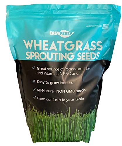 Wheatgrass Seeds | Non GMO | Grown in USA Wheat Grass Seeds | from Our Farm to Your Table (5 Pound)