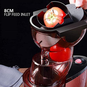 BXZYYL Juicer Machine, Juicer for Vegetable and Fruit, Slow Masticating Juice Extractor Machine with Quiet Motor, Juice Maker Easy to Assemble & Clean