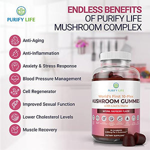 Mushroom Complex Gummies - 10 Mushroom Supplement w Lions Mane (90 Chews 2500mg/serving) Nootropic Brain Supplement, Immune Support, Mood & Stress Relief - Replace Extract Powder, Pills & Capsules