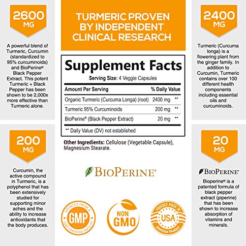Turmeric Curcumin with Bioperine 95% Curcuminoids 2600mg with Black Pepper for Best Absorption, Made in USA, Best Vegan Joint Support, Turmeric Supplement Pills by Natures Nutrition - 120 Capsules