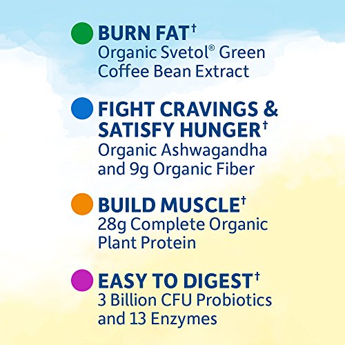 Garden of Life Raw Organic Fit Powder, Chocolate - High Protein for Weight Loss (28g) Plus Fiber & Probiotics, Non-GMO Vegan Nutritional Shake, Packets (10 Count Tray), 15 Oz