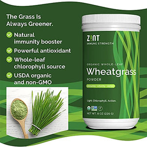 Zint Wheatgrass Powder, Organic (8 oz): Powerful Immune Support Supplement, Whole Leaf Antioxidant Chlorophyll Source for Detox, Immunity Booster