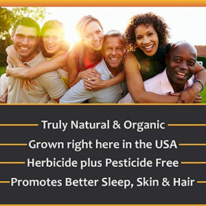 Chakra Health Hemp Oil 6 Pack 1000mg Premium Organic Natural Hemp Oil