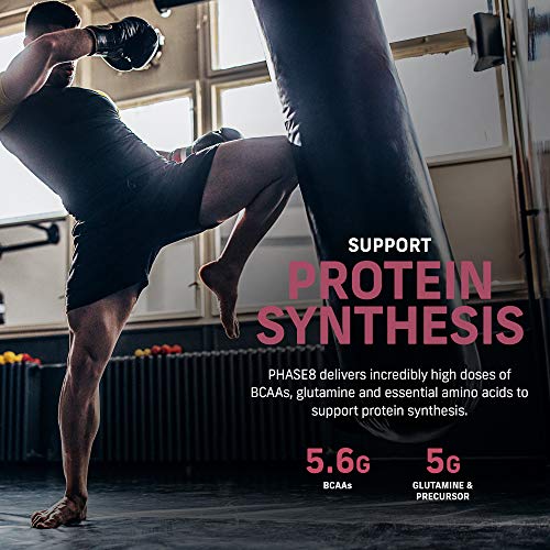 Whey Protein Powder | MuscleTech Phase8 Protein Powder | Whey & Casein Protein Powder | Slow Release 8-Hour Protein | Muscle Builder | Protein Powder for Muscle Gain | Cookies and Cream, 4.6 lbs