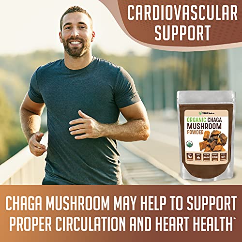 XPRS Nutra Organic Chaga Mushroom Powder - Premium USDA Organic Chaga Mushrooms Powder - Chaga Powder Supports Immune Health - Vegan Friendly Superfood for Chaga Tea and Beverages (4 oz)