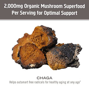 Om Mushroom Superfood Chaga Organic Mushroom Powder, 7.05 Ounce Pouch, 100 Servings, US Grown, Sacred Antioxidants & Immune Support, Superfood Mushroom Supplement