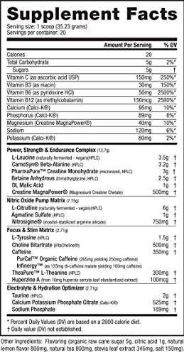 NutraBio PRE Workout Powder - Sustained Energy, Mental Focus, Endurance - Natural Flavors, Sweeteners, Colors - Amino Acids, Citrulline, Caffeine, Electrolytes - Sweet Tea