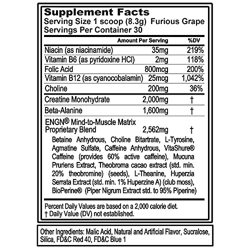 Evlution Nutrition ENGN Pre-Workout, Pikatropin-Free, 30 Servings, Intense Pre-Workout Powder for Increased Energy, Power, and Focus (Furious Grape)