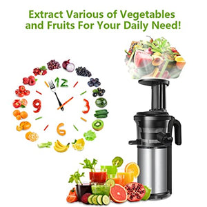 ZPDD 200W 40RPM Stainless Steel Masticating Slow Auger Juicer Fruit and Vegetable Juice Extractor Compact Cold Press Juice (Size : with Sorbet Strainer)