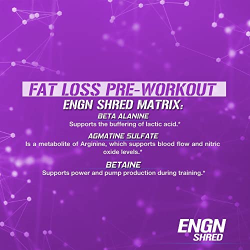 Evlution Nutrition ENGN Shred Pre Workout Powder, Energy, 30 Servings (Grape)