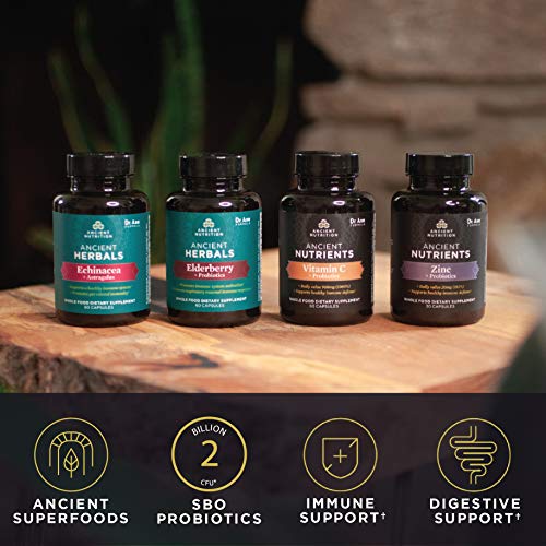 Elderberry and Probiotics Supplement by Ancient Nutrition, Ancient Herbals Black Elderberry Capsules, Immune System Support, Whole Food Supplement, Gluten Free, Paleo and Keto Friendly, 60 Capsules