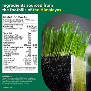 Akiva Superfoods– Wheatgrass Daily Antioxidant Shot – Natural Detox, 2oz. Ready to Drink Servings (Pack of 30)