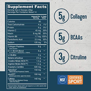 Vital Performance Pre-Workout Powder, NSF for Sport Certified, 5g Vital Proteins Collagen, Low Sugar, 140mg Caffeine, 1.5g Creatine Nitrate, 1.5g Arginine Nitrate, Guava Lime