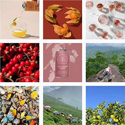 Rishi Tea Schisandra Berry Sparkling Botanicals Sparkling Water - Organic, Unsweetened, Zero Added Sugar, Caffeine Free, Real Plants, Virtus Botanicals - 12 oz (Pack of 12)