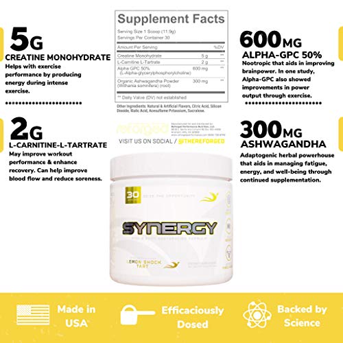 Reforged Synergy | Post-Workout Recovery Formula | Nootropic Muscle Builder Drink Mix w/Creatine, Alpha-GPC, L-Carnitine L-Tartrate, & Ashwagandha | Zero Calorie, Lemon Shock Tart, 30 Servings