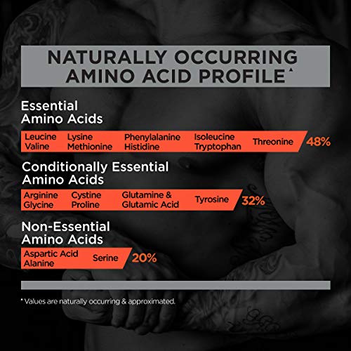 Rule One Proteins, R1 Protein - Lightly Salted Caramel, 25g Fast-Acting, Super-Pure 100% Isolate and Hydrolysate Protein Powder with 6g BCAAs for Muscle Growth and Recovery, 5 Pounds, 76 Servings