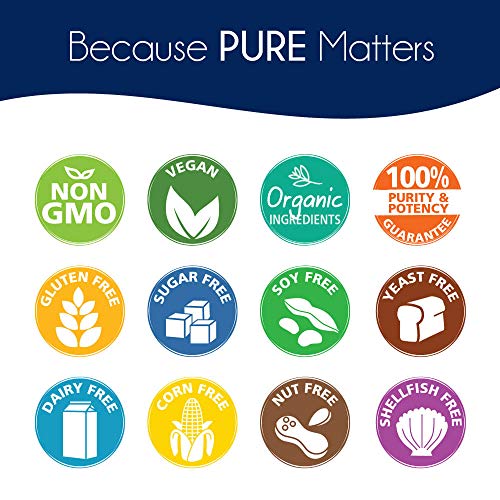 Pure Essence Labs Brain Essence - Memory Supplement & Vitamin for Men, Women & Adults - Herbal Booster for Memory, Focus, Clarity & Stress Relief - Bacopa Monnieri, Ashwagandha & More (30 Tablets)